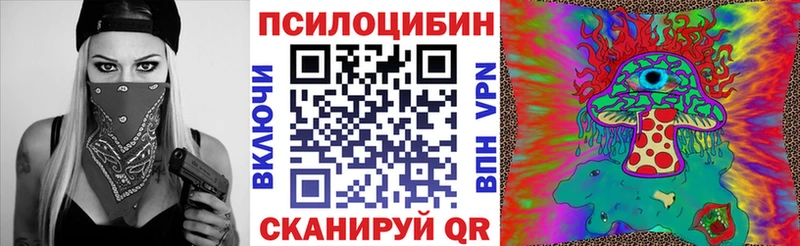 Галлюциногенные грибы Magic Shrooms  Гдов 